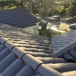 Tile and Flat Roof