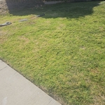 Tree Service Project