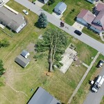 Tree Fallen