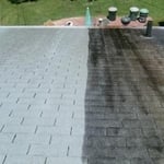 Roof Cleaning
