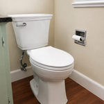 Toilet Replacement