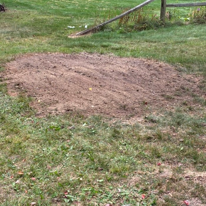 Stump grinding
