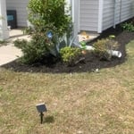 Lawn maintenance