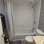 Condo Shower Remodel