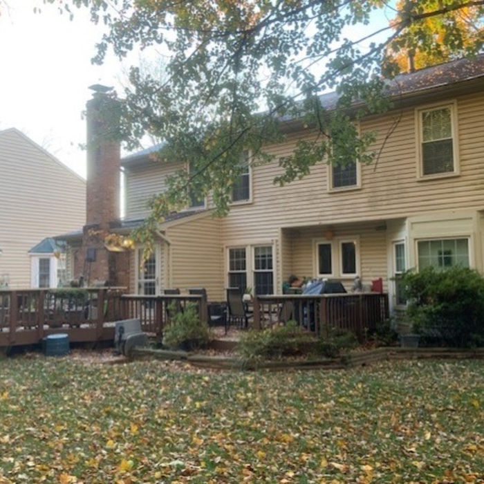 Before from back yard