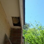 Bee hive in the eave pic.# 1