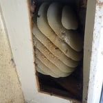 Bee hive in the eave pic.# 2