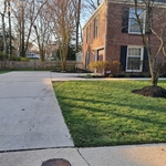 Driveways - Concrete Project