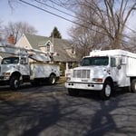 Ready to Cut Trees