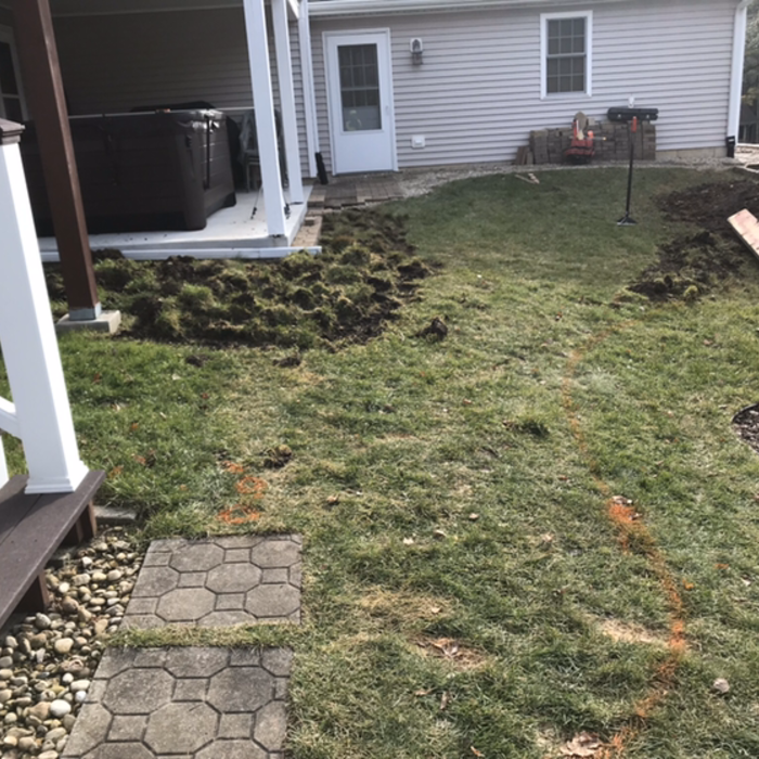Additional Photos
