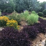 Landscaping Irrigation Lighting