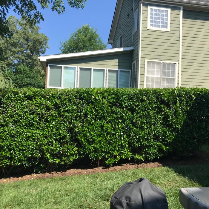 Additional Photos