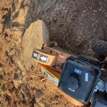 Tree Service Project