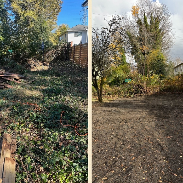 Land clearing