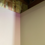 Mold remediation and restoration