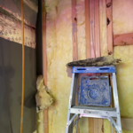 Mold remediation and restoration
