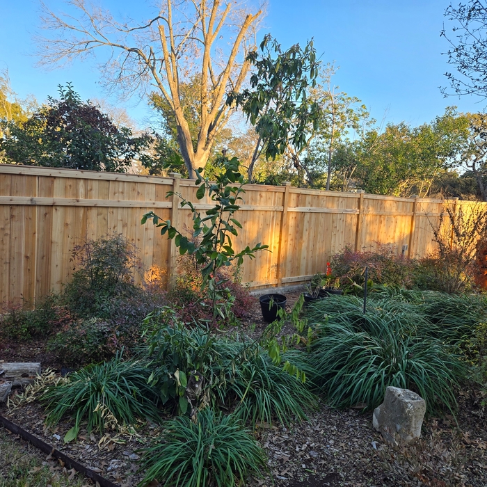 Cedar fence with concrete footing