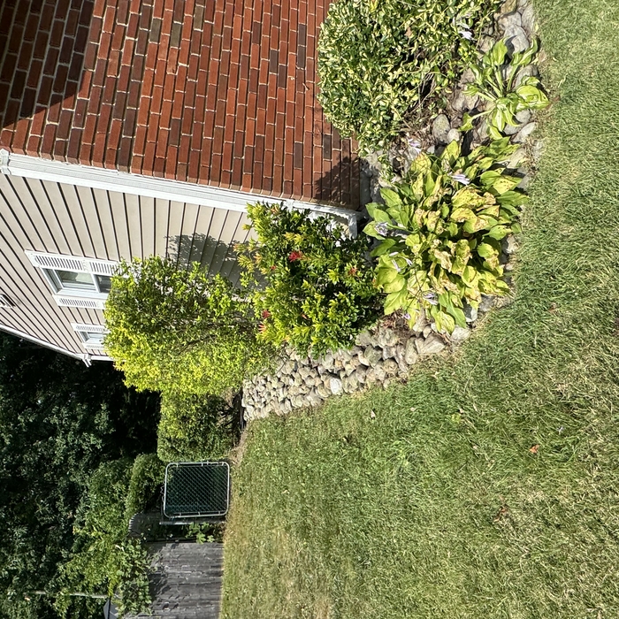 Landscaping Project