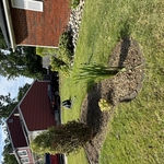 Landscaping Project
