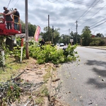 We removed all the tree debris