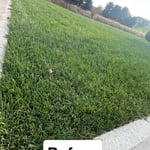 Residential mowing