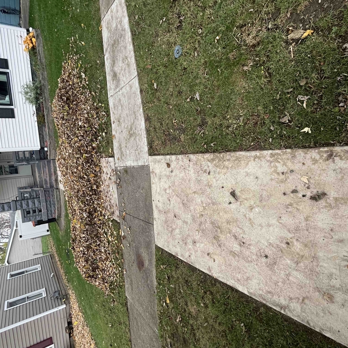 Leaf cleanup/Removal