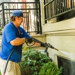 Pressure washing the sidings