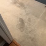 This is the before picture of the carpet in her home office.