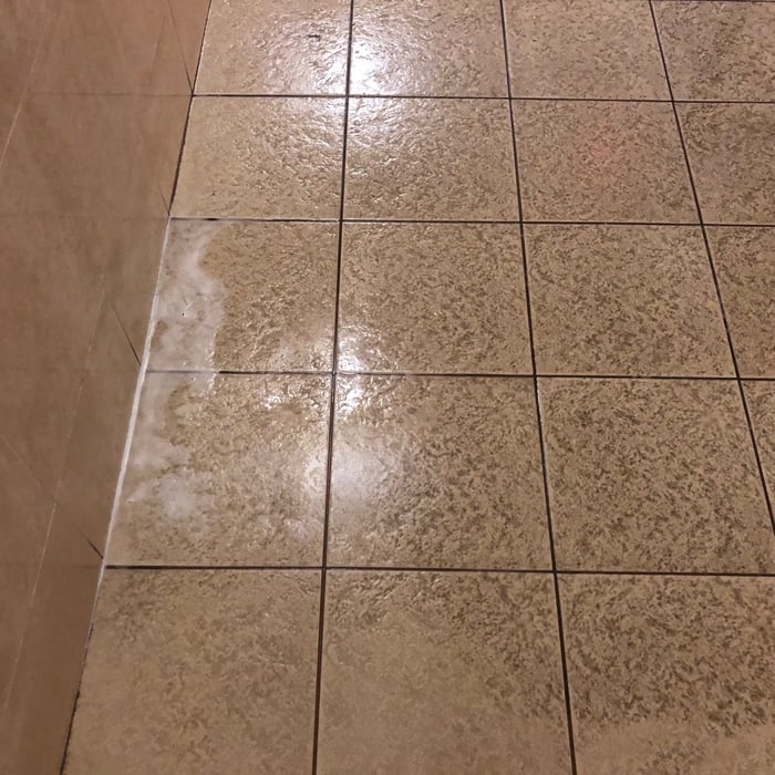 This is a picture of the tile and grout before we started to scrub it.