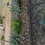 Landscaping Project