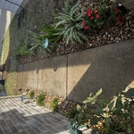Landscaping Project