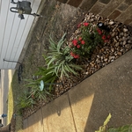 Landscaping Project