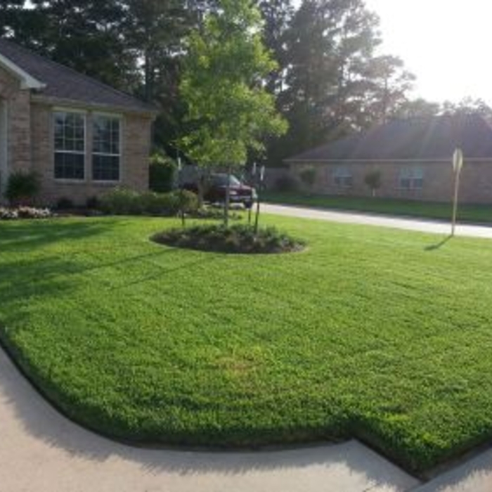 Additional Photos