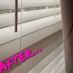 blinds