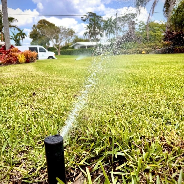 Landscape and irrigation