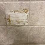 Ceramic Tile Project