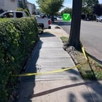 Sidewalk install.