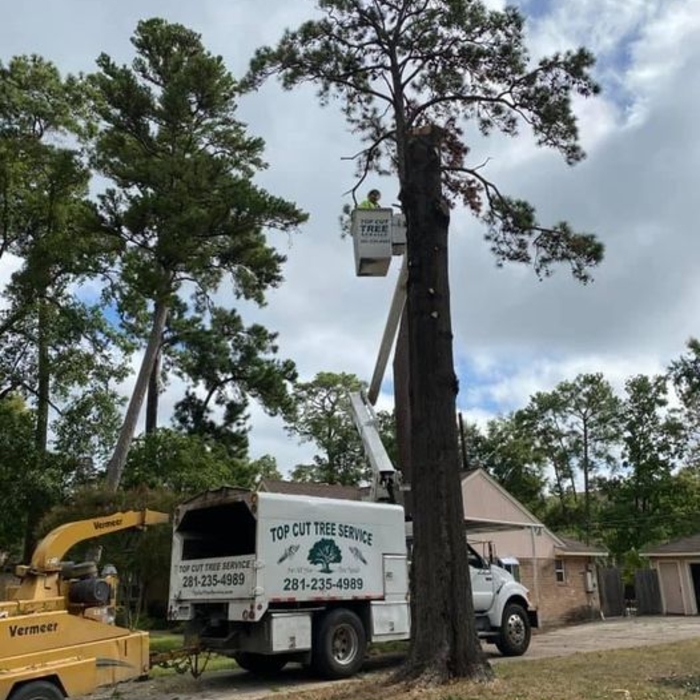 Additional Photos