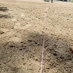 Sod Installation