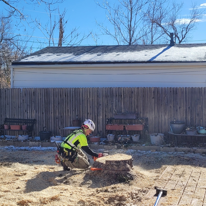 Additional Photos