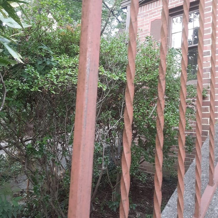 Additional Photos