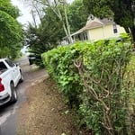 Lawn & Yard Work Project