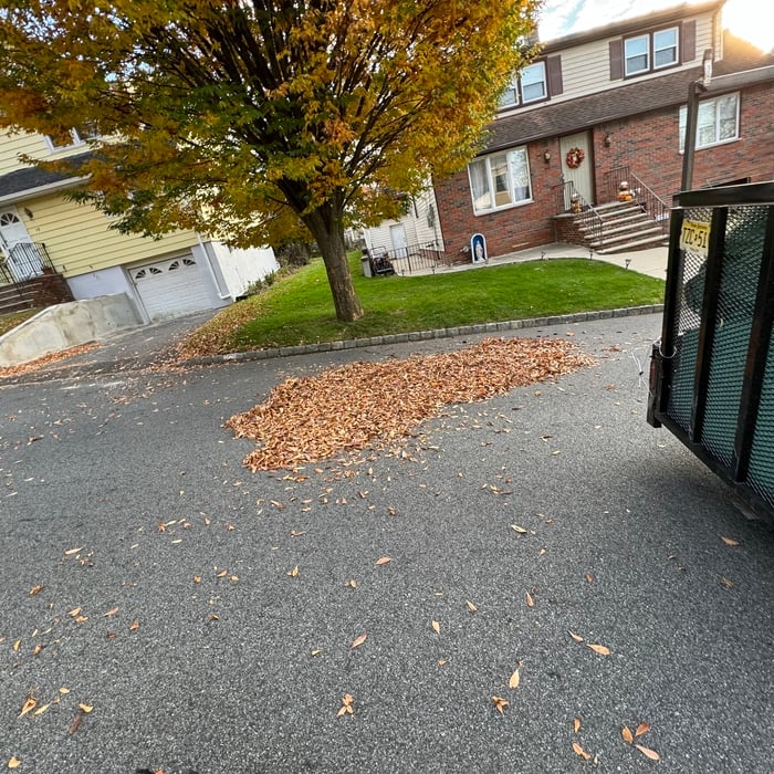 Leaf Removal Project