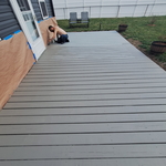 Painting - Interior Project