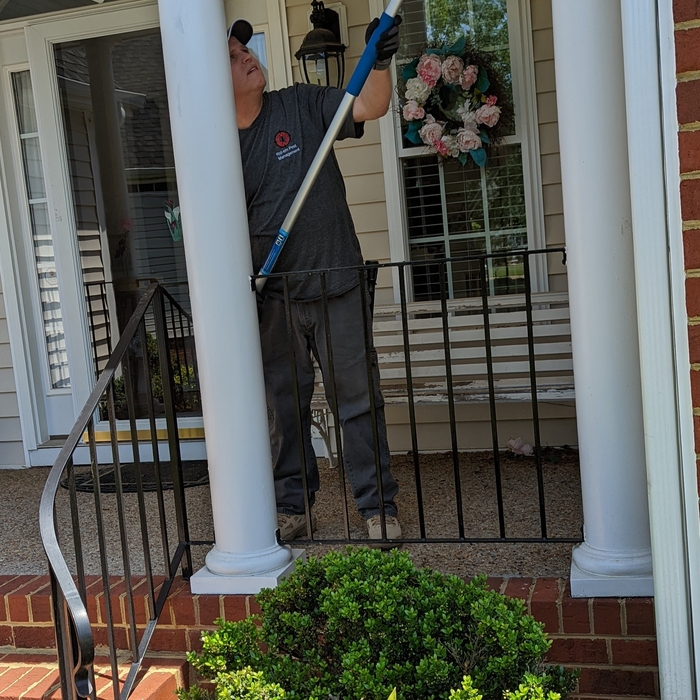 Removing spider webs