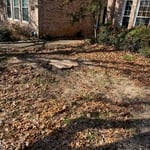 Tree service