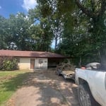 Tree damage