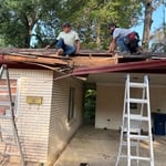 Tree damage