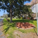 Spring clean up, weeding, mulching
