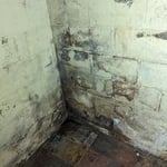 Mold Testing & Remediation Project
